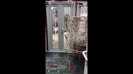 Dogs Happy to see Mum