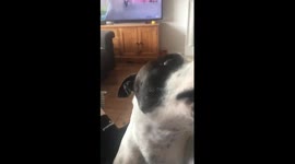 Lenny singing along with the harmonica