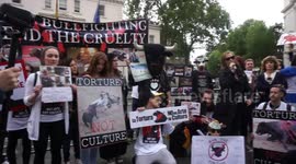 The London Anti Bullfighting Protest In Solidarity with Madrid