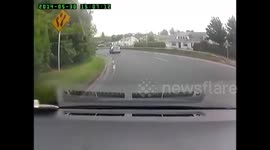 Don't mind me!