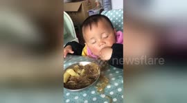 Toddler falls asleep while eating noodles