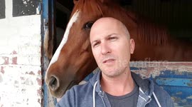 DJI MAVIC PRO SAVED THE HORSES