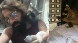 Bonnie the Raccoon - Studio Assistant