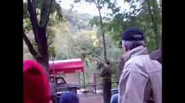 Ursul din Sinaia Romania