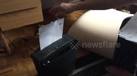 Bengal cats— What is paper shredder?!