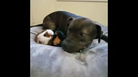 Time for snuggles