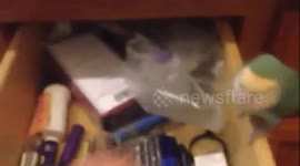 When insanity see's a drawer.