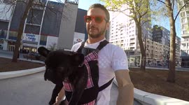 YouTuber carries his dog around like a baby