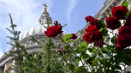 Londoners enjoy some lunchtime sun, at last