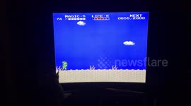 Bengal Cat vs. Link (Zelda: a Link to the Past)