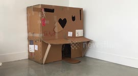 Moving boxes re-used: Bengal cat checks out his new house