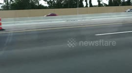 Only in Jacksonville...