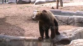 Over the Edge 4/24/2017