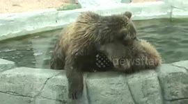 Munsey and Boda Swimming II