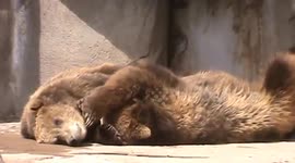 Brotherly Love - 4 -24 - 2017