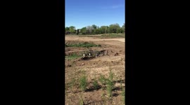 Geese family in Idaho.