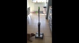 HILARIOUS laugh as the hoover moves on it's own!