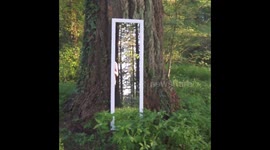 Man walks through mirror in amazing optical illusion