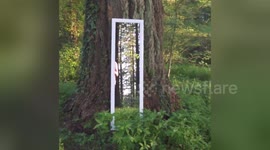 Newsflare Edit - Walking Through a Mirror Illusion