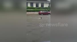 Newsflare Edit - Massive Flooding in Mandeville Right next to Scotia Bank in Jamaica and juicy beef...WOW