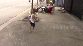 Cute dog wearing backpack walking on street