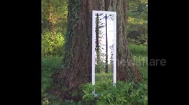 Newsflare Edit - Man walks through mirror in amazing optical illusion