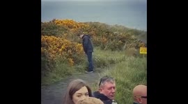 Meanwhile, in Ireland...