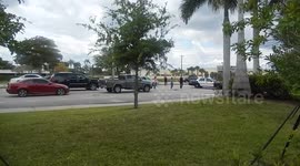 Police officer stops traffic for mama duck
