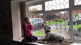 Puppy singing along to child playing harmonica