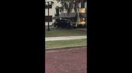 Swan chasing Orlando policeman