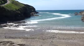 Sea Froth