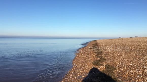 Dog belly flop leap into the sea