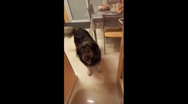 She always wants to play