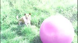 The only ball he can''t burst.
