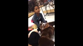 My Daughter Helps Fallen Horse LOL