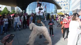 Crazy entertainment act at the Greenwich Peninsula Festival featuring a fake weeing dog.