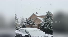 Newsflare Edit - A little May snow storm https://t.co/sv5SPRgXv3