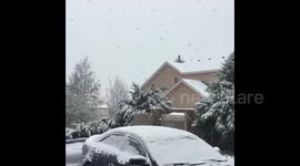 Heavy May snow fall in Colorado Springs