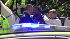 Man arrested outside Buckingham Palace as the Queen leaves