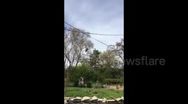 Birds takeoff and land in slow motion