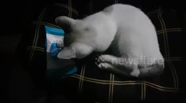 Pablo give me the bag