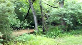 The Underside of Willowdale Park