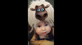 What Does A Sheep Do?