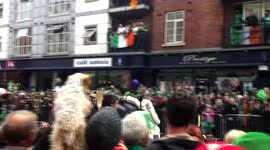Little Doggy Enjoying Dublin's St. Patrick's Day Parade