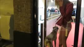 Kimberley Garner Attends the The Company of Dogs Pet Portrait Exhibition