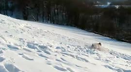 Snowboarder's half backflip almost broke his neck on jump.