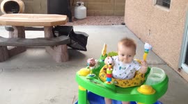 Baby Laughs Hysterically at Barking Dog