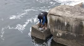 Interview with dog rescuer from Romanian river