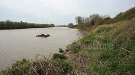 The Severn bore is a tidal bore seen on the tidal reaches of the River Severn in England. It forms somewhat upstream of Sharpness,