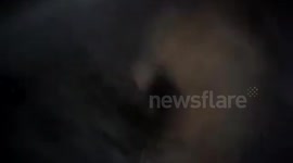 Dog rescued after earthquake in Chile